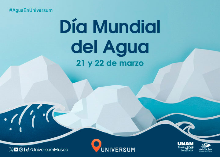 Día Mundial de Agua 2025